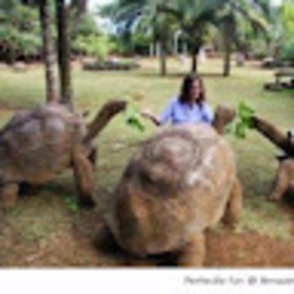 Meet your Posher, Hafeeza - Picture 1 of 1